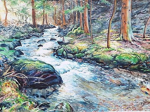 Obrazy - Jar v doline - 17133682_