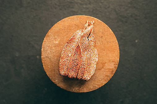 Brošne - Brošňa mochyňa - 17136749_