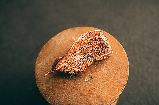 Brošne - Brošňa mochyňa II. - 17136753_