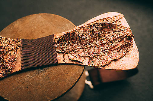 Pánske doplnky - Motýlik mochyňa - 17136868_