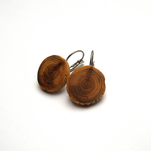 Náušnice - Drevené náušnice visiace - brestové halúzky - 17138399_