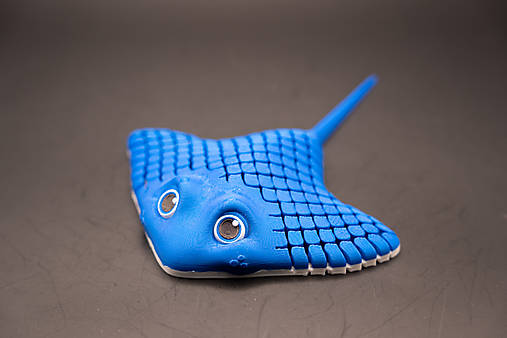 Manta Ray (Raja) – Rozprávkové morské tvory