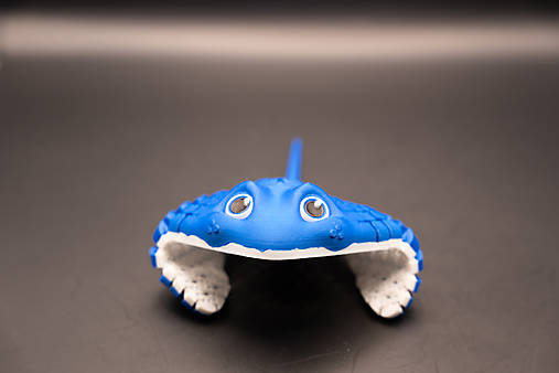 Manta Ray (Raja) – Rozprávkové morské tvory