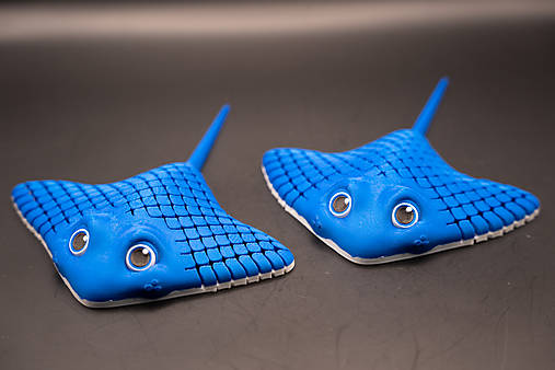 Manta Ray (Raja) – Rozprávkové morské tvory
