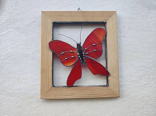 Obrazy - Motýľ Emanuel 11  - 17153982_