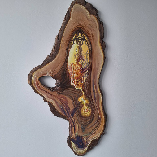 Obrazy - ~ Anima ~ - 17155322_