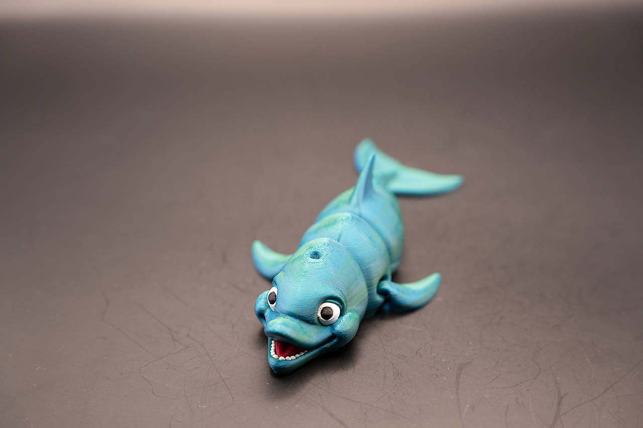 Delfín – Veselý priateľ z hlbín mora