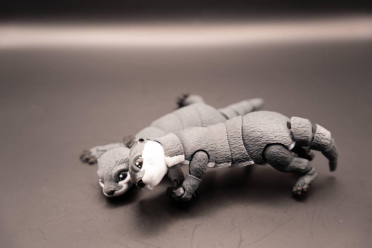 Vydra – Pokojný vodný spoločník 