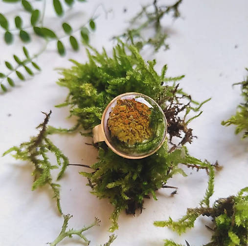 Prstene - Lišajníkovo-machový prsteň - 17160005_