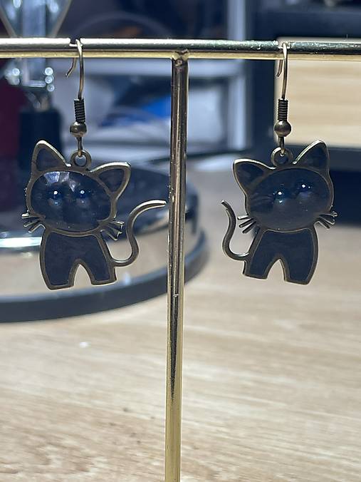 Náušnice - Náušnice visiace Catnoir - 17166392_