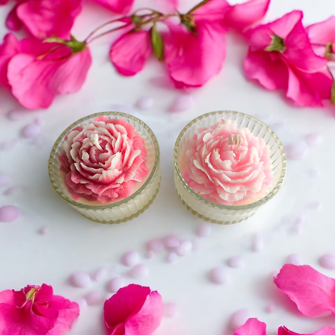 Sójová sviečka pivonka