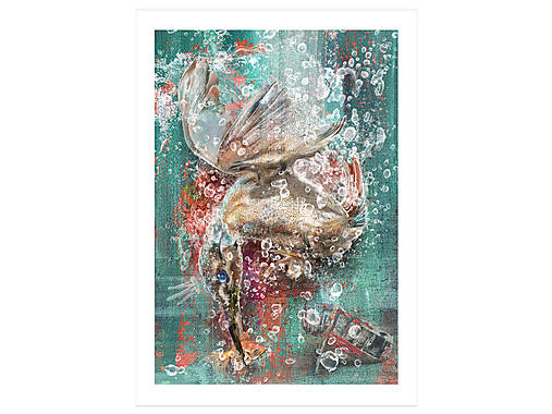 Grafika - Kingfisher - fine art print - 17170233_