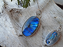 Náhrdelníky - Strieborný prívesok Ag925 Labradorit Morský koník  - 17176638_