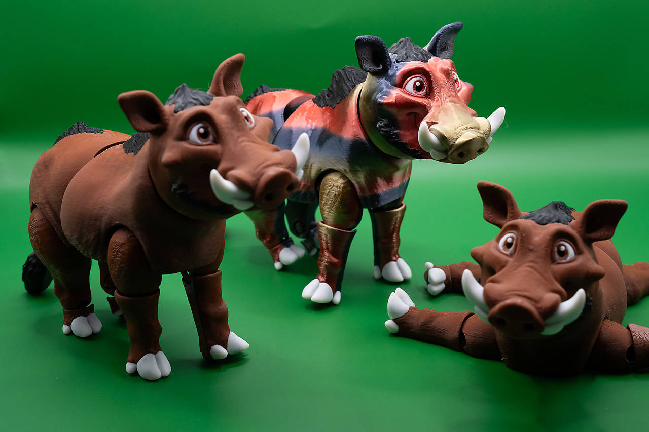 Divoký kanec s charakteristickými tesákmi