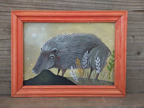 Obrazy - Diviačik. - 17193976_