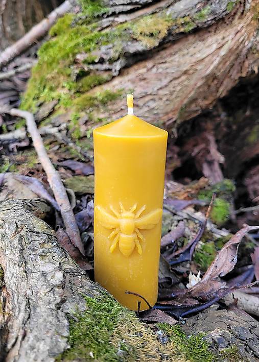 Sviečky - Vysoká sviečka so včielkou - 17194000_