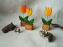  - Tulipány - 17204193_