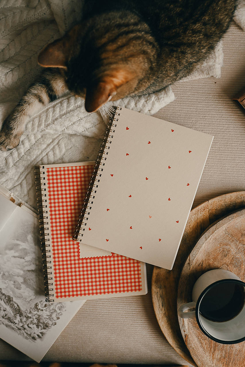 Valentínske zápisníky