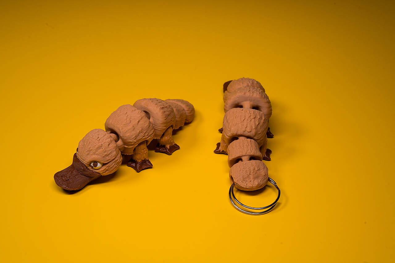 Vtákopysk s kľúčenkou – originálny a praktický doplnok