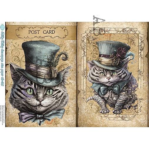 Papier - Ryžový papier 38 AB/ A4 - 17224226_