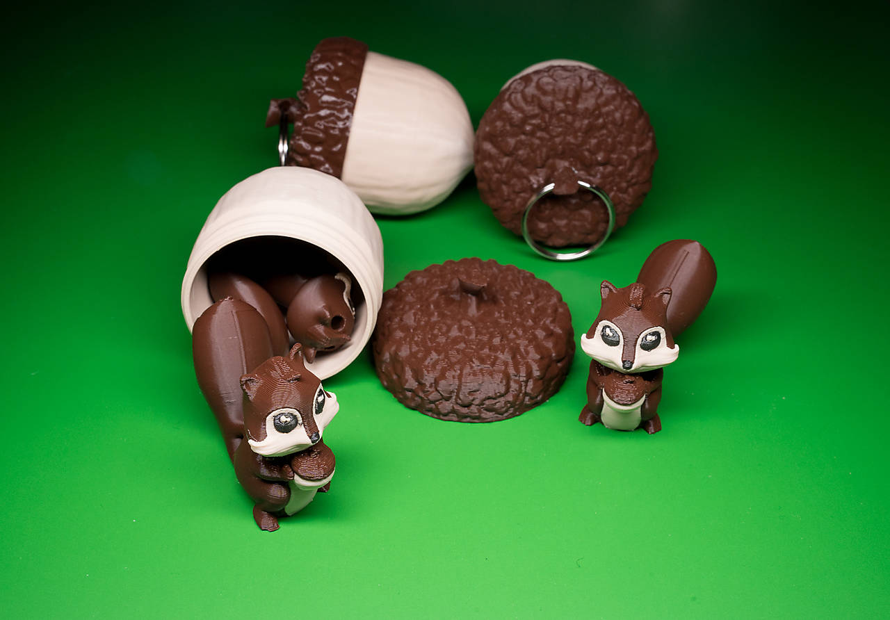 Veverička v žaludi – dokonalý úložný priestor pre malých objaviteľov!