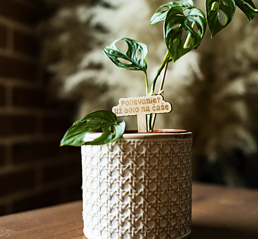 Dekorácie - Drevený zápich -   Polievanie? Už bolo na čase Polievanie? Už Bolo Na Čase - 17226171_