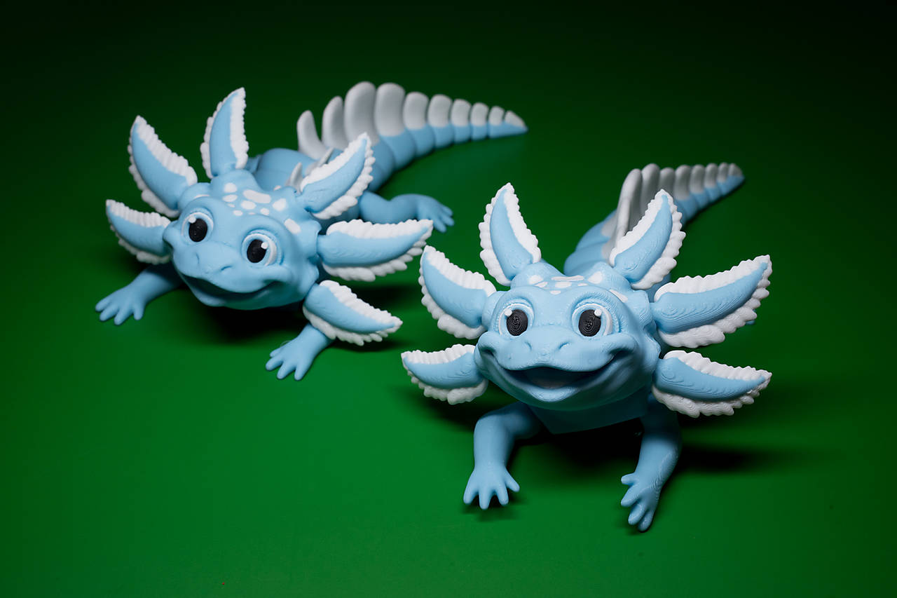 Axolotl - rozkošný kamarát z podvodného sveta!