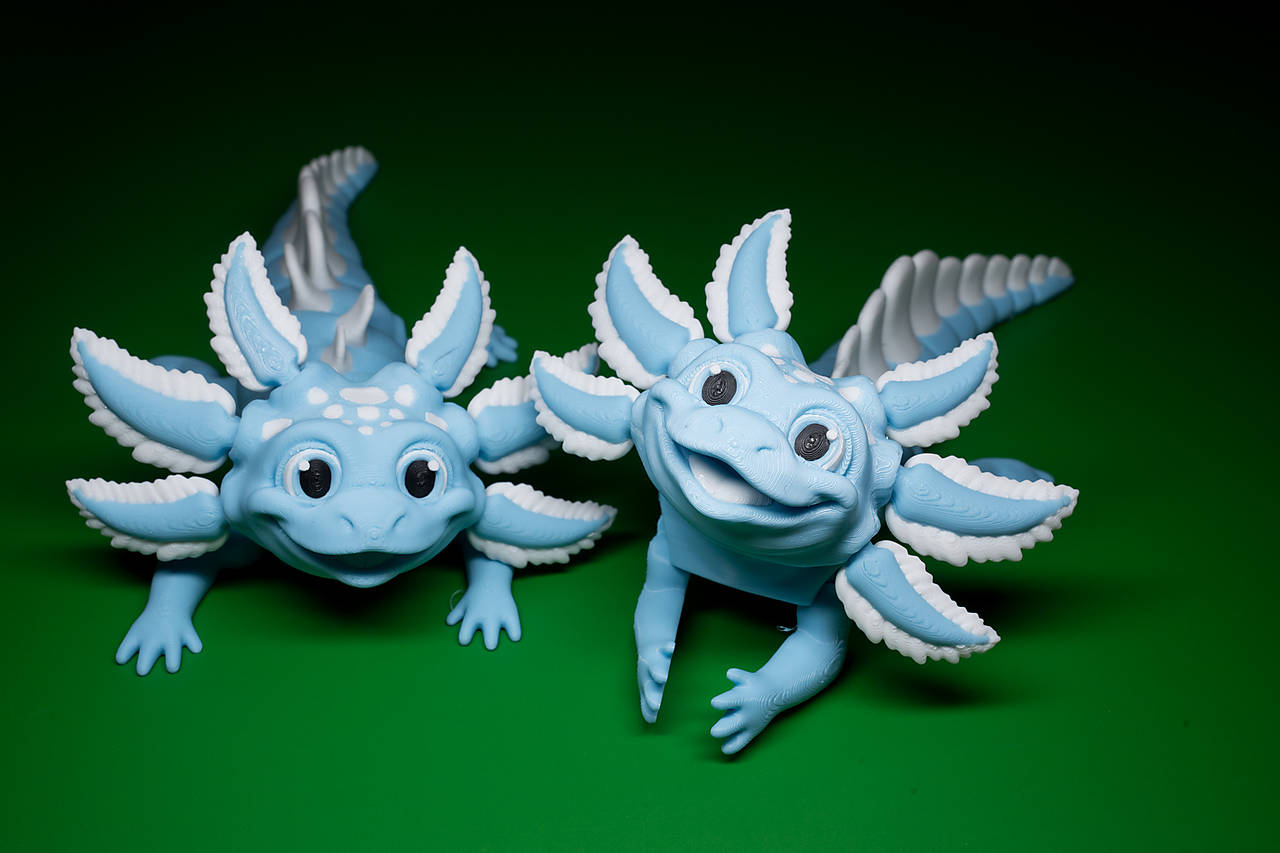 Axolotl - rozkošný kamarát z podvodného sveta!