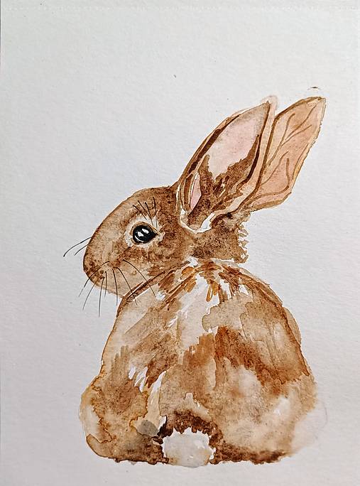 Kresby - zajko - 17246857_