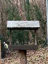 Pre zvieratá - Krmítko pre vtáčiky FOoFO - 17258327_