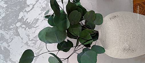 Suroviny - Stabilizovaný Eukalyptus - 38 cm - II - 17262285_