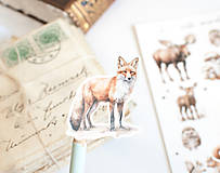 Papier - Nálepky "cute animals" - 17264931_