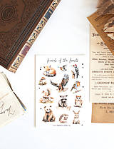 Papier - Nálepky "friends of the forests" - 17264954_