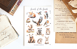 Papier - Nálepky "friends of the forests" - 17264955_