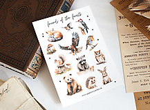 Papier - Nálepky "friends of the forests" - 17264958_