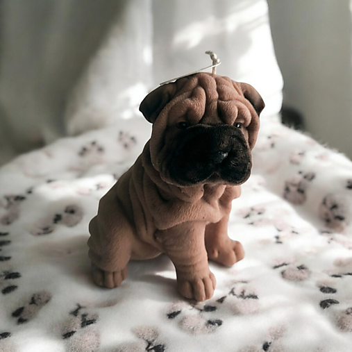 Sójová sviečka veľký Sharpei