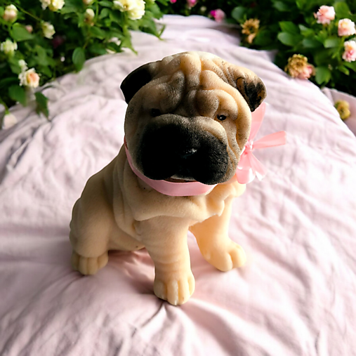 Sójová sviečka veľký Sharpei