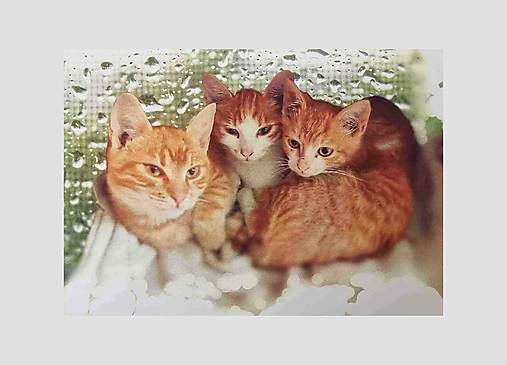 Papiernictvo - Postcard A6_ktr 135 - 17280750_