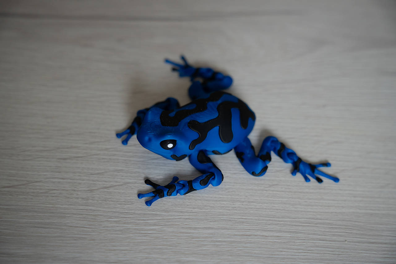 Interaktívna 3D žaba - zábava a pohyb v jednom