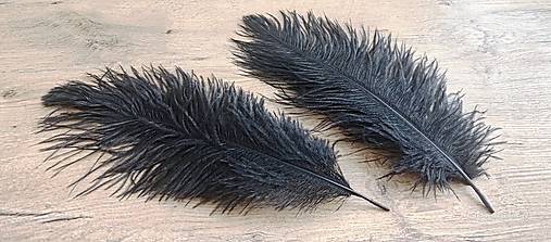 Suroviny - Dekoračné pierka - 30-35 cm (Čierna) - 17287855_