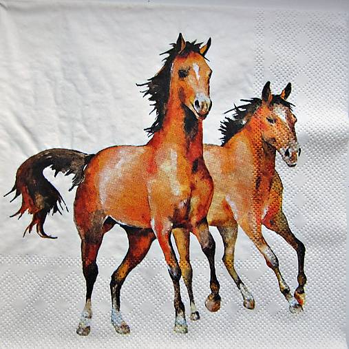 Papier - Servítka D 238 - 17286950_