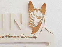 Nábytok - Drevený držiak na medaily s laserovaným textom 45cm psík Peruánsky naháč - 17295625_