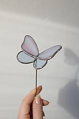 Dekorácie - Zápich Motýľ (Ružovo modrý - stonka) - 17306989_