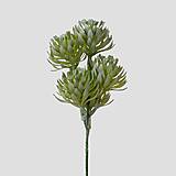 Iný materiál - Skalnička, kaktus, sukulent - zápich 18cm - dekorácia - 17320993_