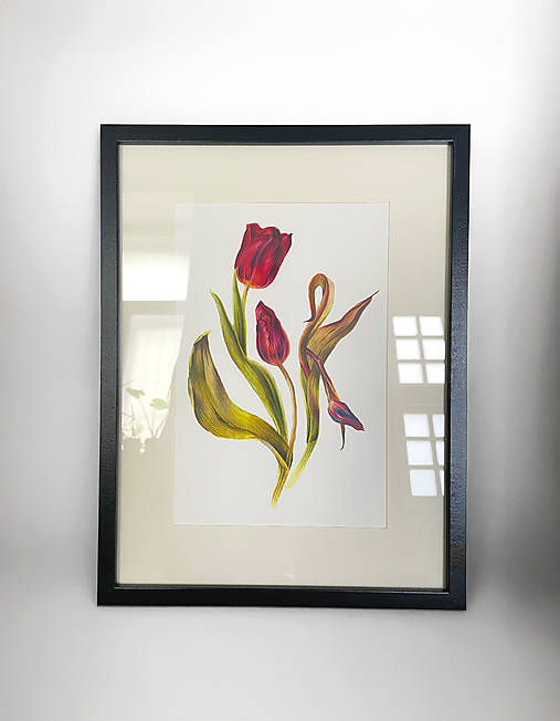 Obrazy - Obraz Tulipánov s paspartou a rámom - 17321079_