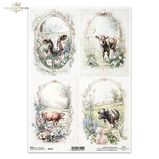 Papier - Ryžový papier R 2570 - 17331904_