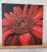 Obrazy - Obraz: Gerbera v plnom kvete - 17331474_