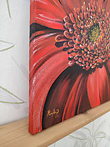 Obrazy - Obraz: Gerbera v plnom kvete - 17331475_