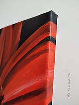 Obrazy - Obraz: Gerbera v plnom kvete - 17331477_