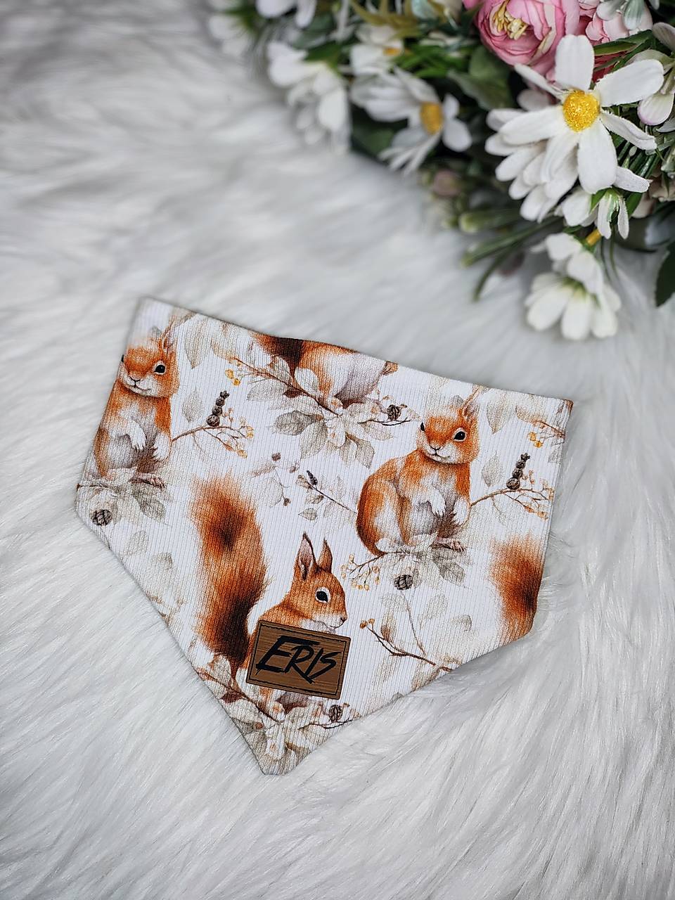 Slintáčik -  VEVERIČKA